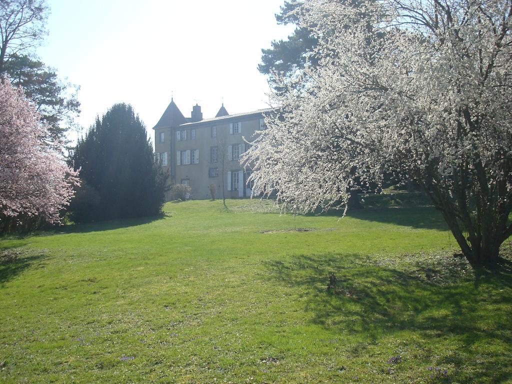 Bed and Breakfast Chateau De Bourrassol Menetrol Exterior foto